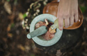 Embracing Nature: Remedies and Tech Innovations Unite - Kiicity