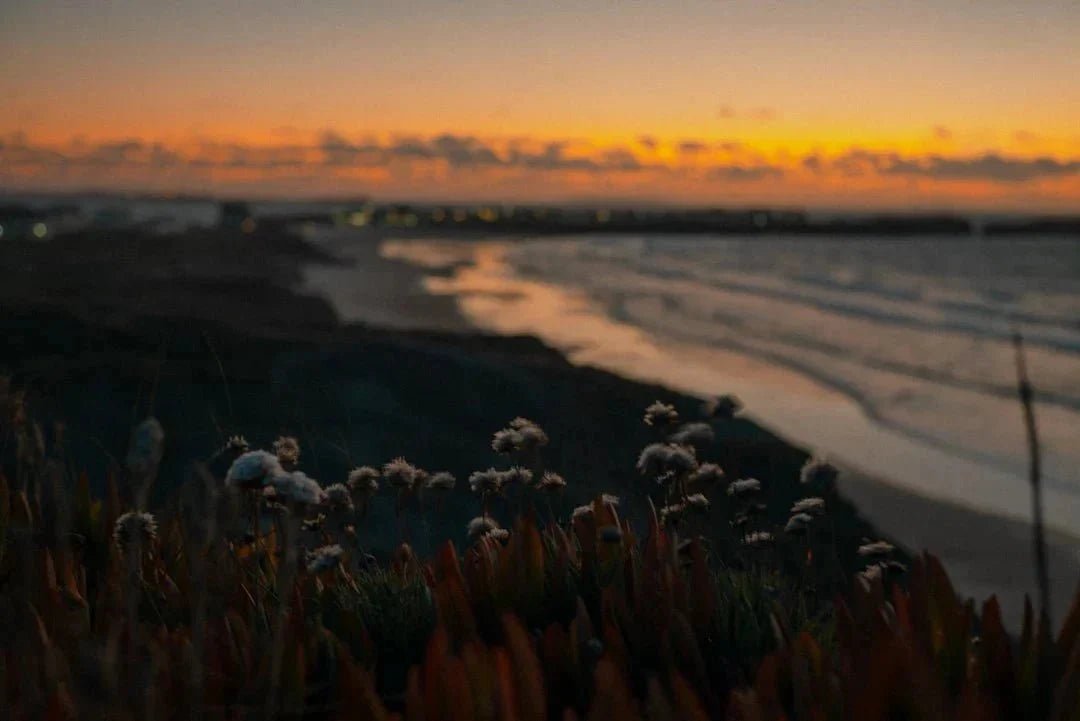Embrace a Digital Detox for Better Well-Being - Kiicity