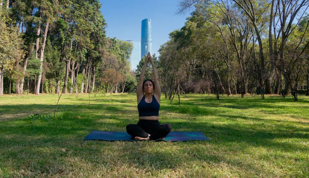 Find Harmony: Merging Fitness with Relaxation - Kiicity