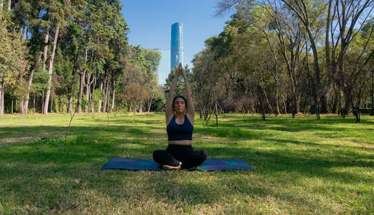 Find Harmony: Merging Fitness with Relaxation - Kiicity