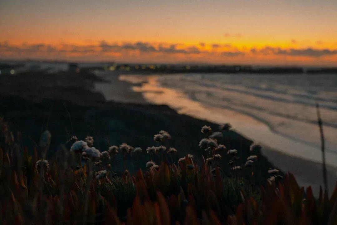 Refresh Your Mind: Establishing a Digital Detox - Kiicity