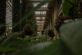 Transform Your Space with Indoor Gardening Gadgets - Kiicity
