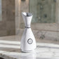 Ionic Facial Steamer - Kiicity